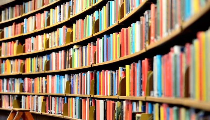 A library shelf filled with books