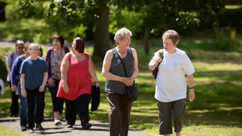 A large group of people walking along a path in a park on a sunny day with a large tree and grass in the background